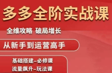 大炮·拼多多全阶实战课程(更新10月)-裕启创服