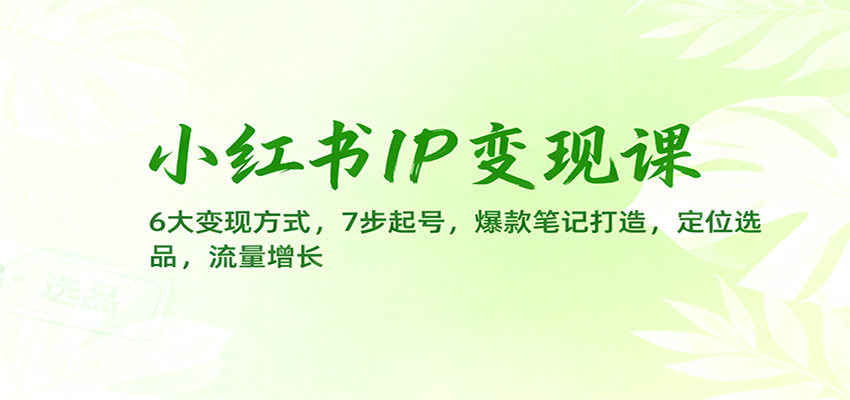 小红书IP变现课：6大变现方式，7步起号，爆款笔记打造，定位选品，流量增长-裕启创服